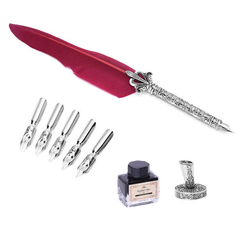 Feder Stift mit Ständer und schwarzer Tinte (15ml) und 6 verschiedenen Ersatzspitzen in Silberfarben, Burgunderrot image number 0