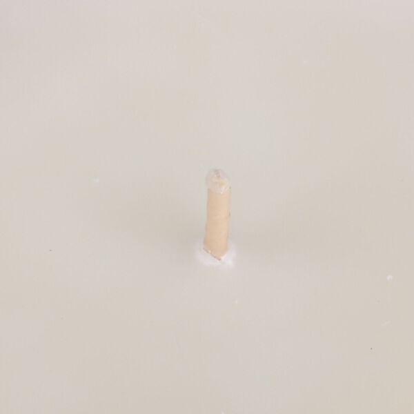 LIVMORE Home Fragrance Kollektion, Duftkerze im Farbglas, Lavendelholz, 370 g Sojawachs, 55 Std., 10,2 x 10,2 x 13 cm image number 6