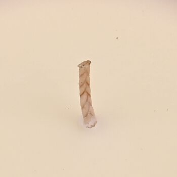 LIVMORE - Duftkerze im Glas mit Bienenmotiv,  24 Std. Brenndauer, 120g, 3,6 ml &auml;therisches &Ouml;l, Lavendel und Jasmin, Rosa