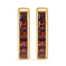 Mosambik Granat Ohrringe - 2,50 ct.