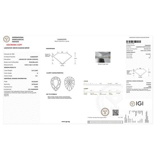 LUXURIANT DIAMOND - Lab Grown Diamant VS-EF IGI zertifiziert Ring, 950 Platin (Größe 17.00) ca. 2.00 ct image number 7