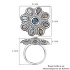 AAA Labradorit Ring, 925 Silber platiniert, (Größe 20.00) ca. 4.63 ct image number 7