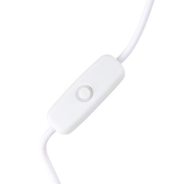 LED Tischlampe, Eschenholz und Acryl, mit USB Anschluss, Mehrfarbig image number 5