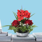 Rote Rosen und Hortensien Blumentrauß im Keramiktopf image number 1