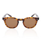 Sole & Luce - Swiss Eyewear, UJV400 Sonnenbrille, Demi Braun