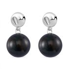 Ozean Jaspis Ohrringe ca. 56.00 ct