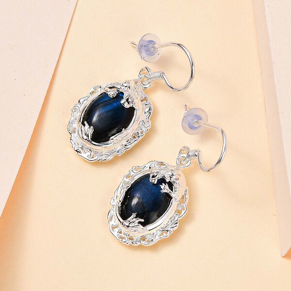 AAA Labradorit Ohrringe - 14,04 ct. image number 2