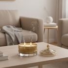 Duftkerze im Glas mit Deckel, Luxusglas-Design, Oud-Holz, Grün