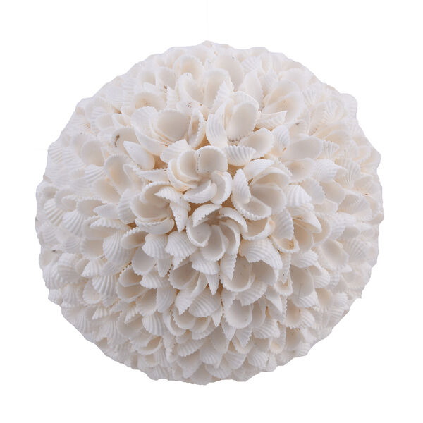 Lampe aus Muschel in Ei Form image number 2