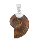 Royal Bali Kollektion - Abalone Muschel und Ammonit-Anhänger, 925 Silber image number 3