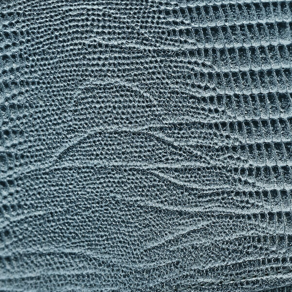 LA MAREY Geldb&ouml;rse aus Leder mit RFID Schutz und Eidechsen Pr&auml;gung, 18,4 x 10,2 cm, Hellblau image number 9