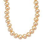 Goldene Farbe Muschelkernperle Halskette ca. 50 cm Reiner Edelstahl Standard