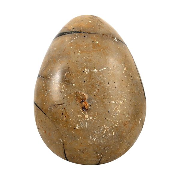 Septarian Drachen-Ei, M - 2000 ct.