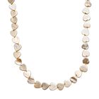 Goldene Farbe Muschelkernperle Halskette ca. 50 cm Reiner Edelstahl Standard