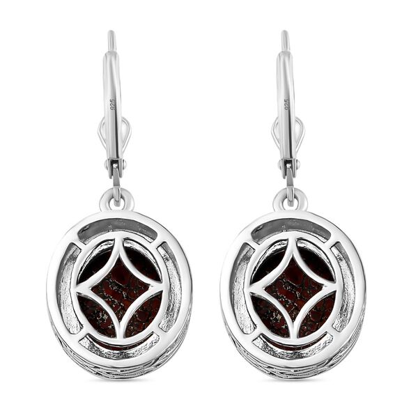 AAA Koprolith Ohrringe - 8,86 ct. image number 5