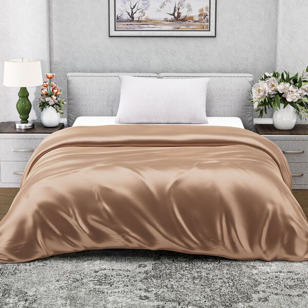 Serenity Night - 100% Maulbeerseide Sommerseidendecke mit Seidenf&uuml;llung Daunenkissen und Seidenkissenbezug Beige image number 12