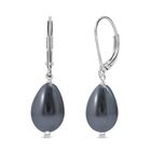 Pfau Muschelkernperle Ohrringe 925 Silber