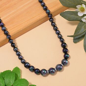 Pfauenfarbene Muschelkernperlen und wei&szlig;e Kristall, 45+5 cm