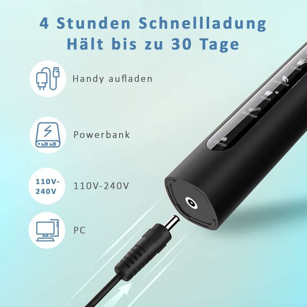 Fairywill- Zahnb&uuml;rste mit 4 B&uuml;rstenk&ouml;pfen, Schwarz image number 8