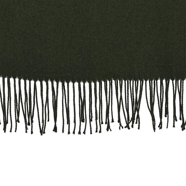 Eleganter Schal mit Fransen, 65x180 cm, Waldgrün image number 3
