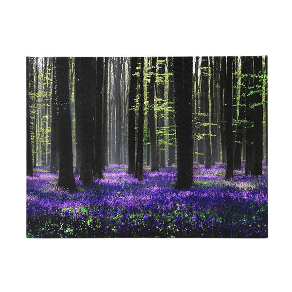 LED Leinwand Rahmen Digitaldruck Wandbild, Wald, 30x40 cm
