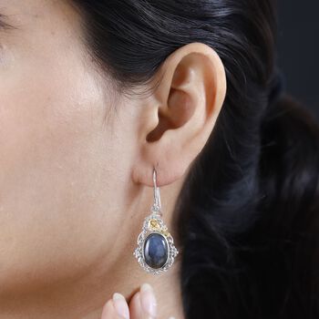 Labradorit Ohrringe- 13,98 ct.