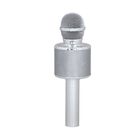 Multifunktions Karaoke Mikrofon, Silber image number 6
