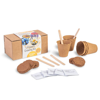 Blumen-Anzuchtset 5-teilig Lavendel Sonnenblume Vergissmeinnicht Klatschmohn G&auml;nsebl&uuml;mchen mit Holzfaser-T&ouml;pfen Erde-Tabletten Saatgut und Pflanzenetiketten in Geschenkbox