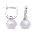 Weiße Süßwasser Perle Ohrringe 925 Silber rhodiniert ca. 8,00 ct image number 2