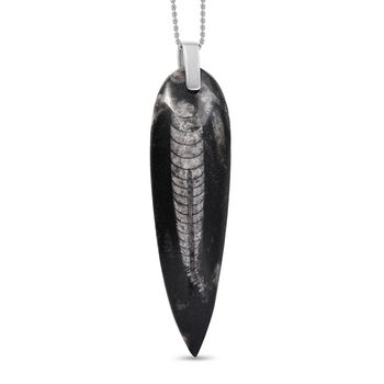 Orthoceras Schmuckset 925 Silber und Edelstahl ca. 100,00 ct.