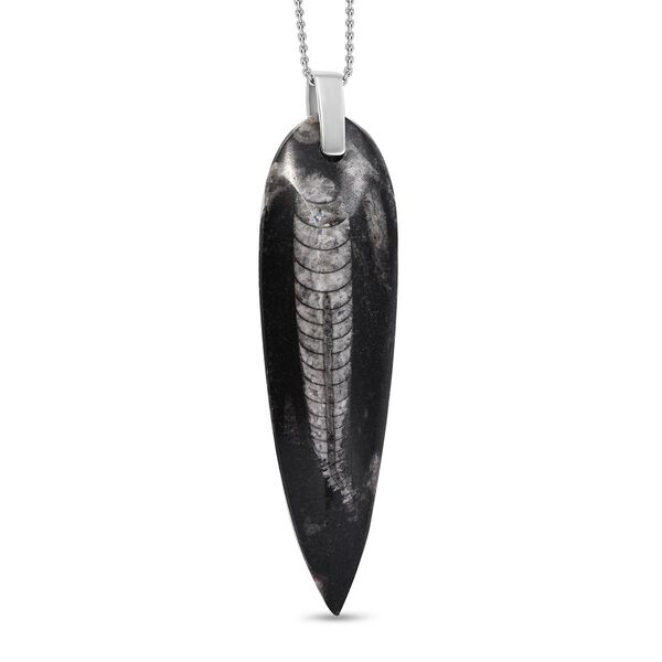 Orthoceras Schmuckset 925 Silber und Edelstahl ca. 100,00 ct.