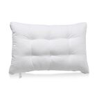 "3pcs pillow with zipper Size:48*73cm 1pc:Filling 100% polyester with quilting,400g 1pc: 30*50cm memory foam pillow 1pc:Filling:100% crush duck feather,300g"