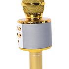 Multifunktions Karaoke Mikrofon und Bluetooth Lautsprecher mit sprachgesteuerten LED - Lichter und Sound - Echo, Gold image number 2