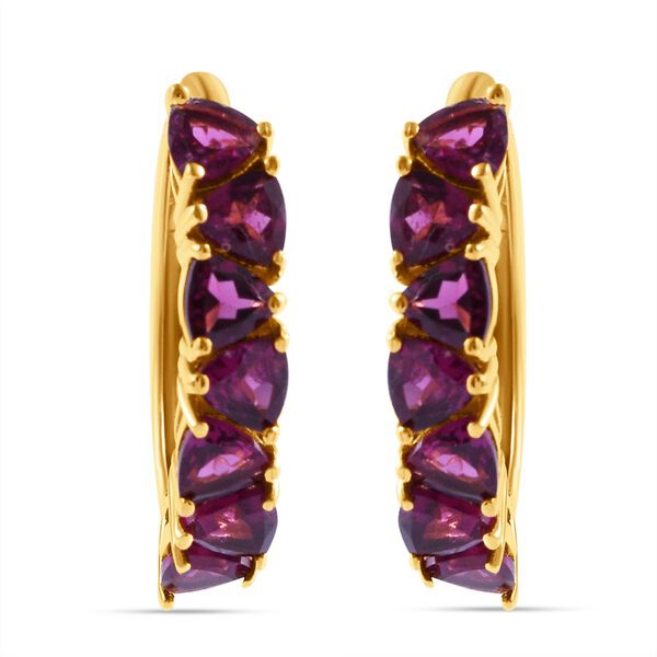Rhodolith Granat Ohrringe - 4,02 ct. image number 0