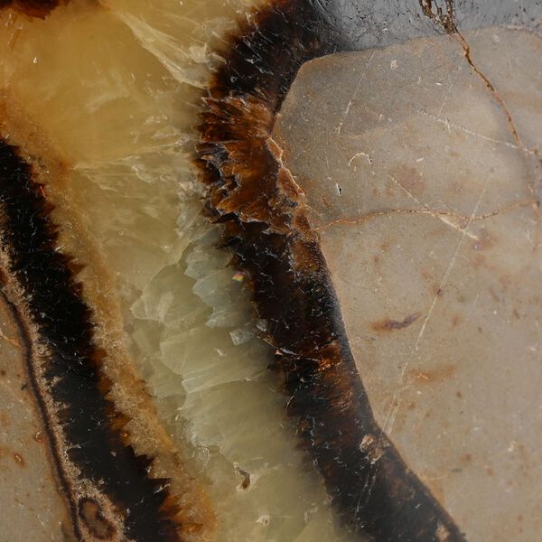 Septarian - S, ca. 1250 cts. image number 3