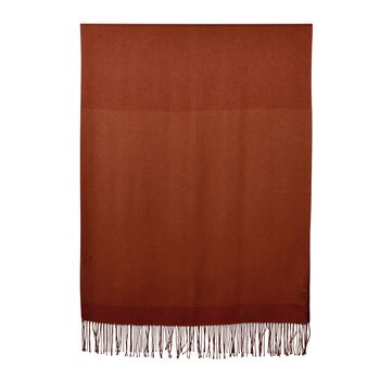 Eleganter Schal mit Fransen, 65x180cm, Terrakotta