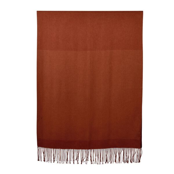 Eleganter Schal mit Fransen, 65x180cm, Terrakotta image number 2