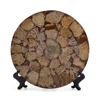 Ammonit Edelsteinzubeh&ouml;r, ca. 3800.00 ct