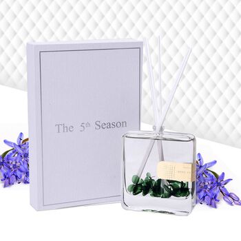 The 5th Season: Quadratischer Diffusor mit echten Blumen, 100ml