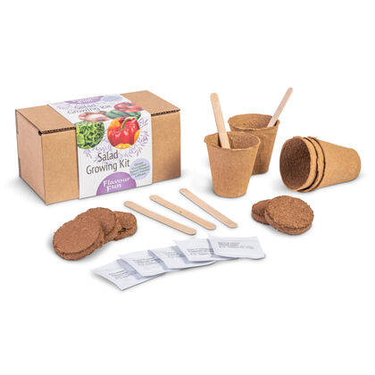 Gem&uuml;se-Anzuchtset 5-teilig Zwiebel Gurke Paprika Cherrytomate Salat mit Holzfaser-T&ouml;pfen Erde-Tabletten Saatgut und Pflanzenetiketten in Geschenkbox