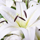 6 weiße Lilien, 3 weiße Rosen mit weißer Keramikvase image number 2