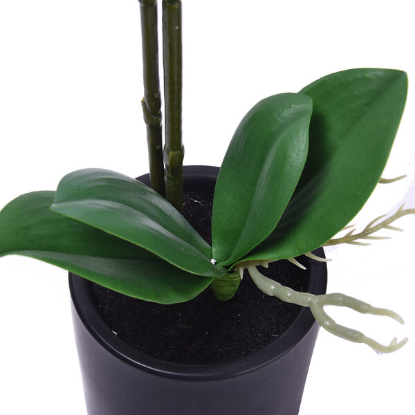 Rosa Orchidee mit schwarzem Keramiktopf, 11x35x55 cm image number 3