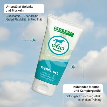 CBD Pferdegel, 100ml, k&uuml;hlend und erfrischend