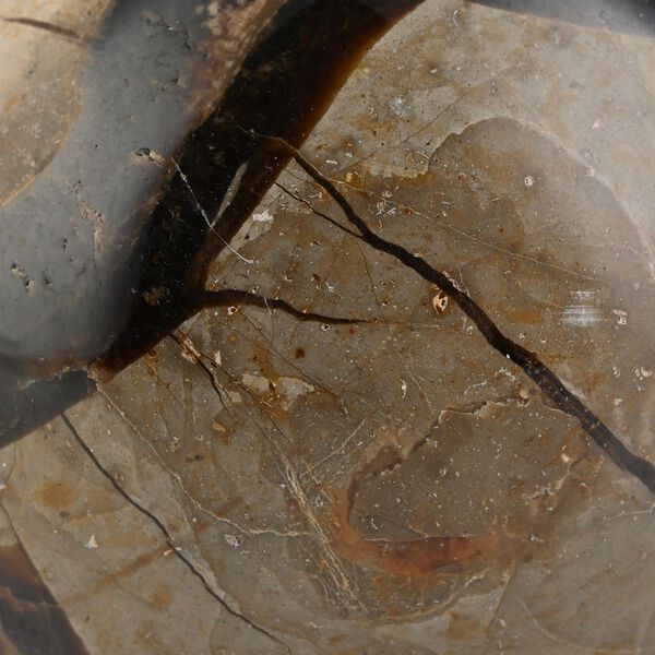 Gem Crystal Kollektion - Septarian Sph&auml;re, 3-4 cm, 3750 cts. image number 3