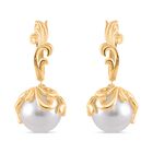 Weiße Muschelkernperle Ohrringe Messing