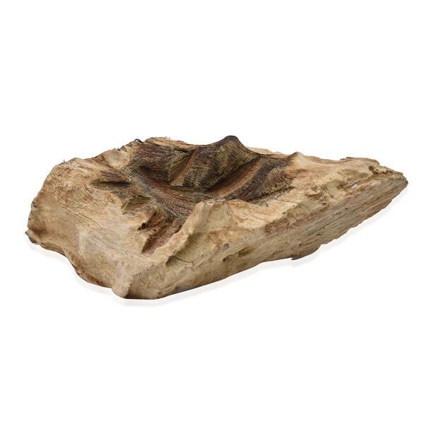 Jardin de Bali: Mundgeblasen Glassch&uuml;ssel auf Naturholz image number 4