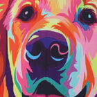 Leinwand Rahmen Digitaldruck Hunde-Wandbild, Größe 38x43 cm image number 4