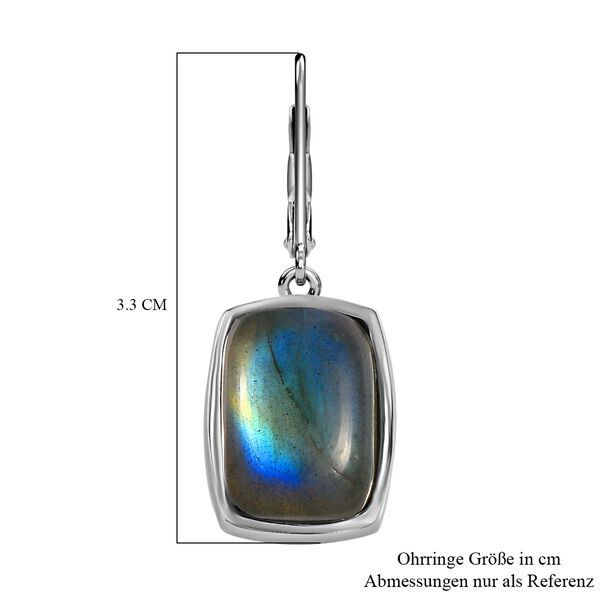 Labradorit Ohrringe - 16,07 ct. image number 6