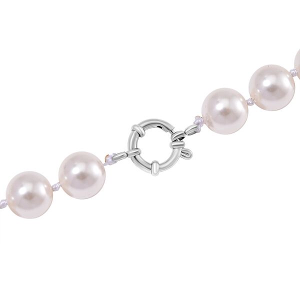 Weiße Muschelkernperle Halskette, 50cm image number 5