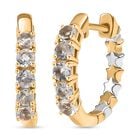 D joy AAA Premium Malagasy Regenbogen Mondstein Ohrringe, 925 Silber platiniert und vergoldet ca. 0,71 ct.